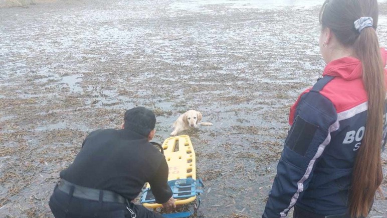 El operativo de rescate resultó exitoso